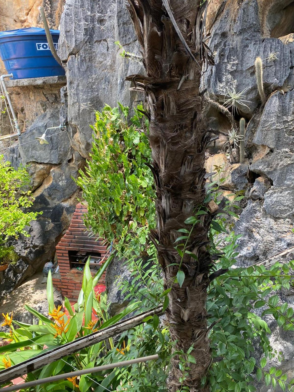 Casa Pedacinho Do Morro Lejlighed Bom Jesus da Lapa Eksteriør billede